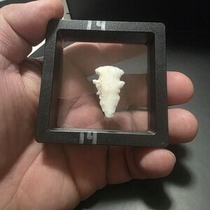 Hand Knapped Lithic Projectile Point – Mexico – Display Artifact‎